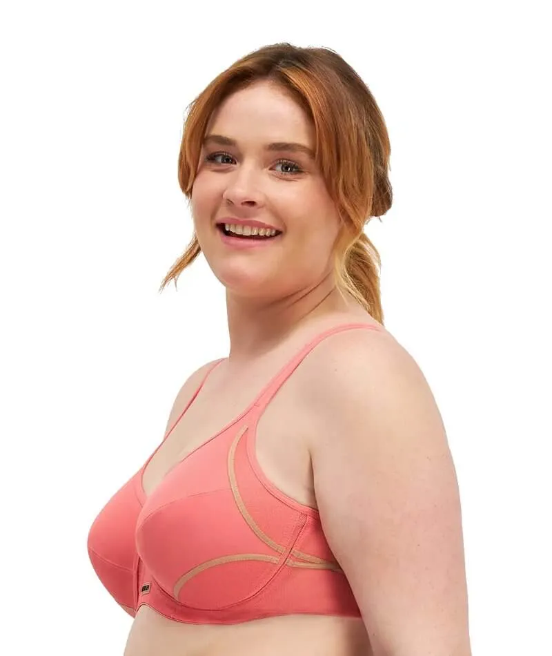 Berlei Electrify Underwire 2 Pack Sports Bra - Fortress/Rose