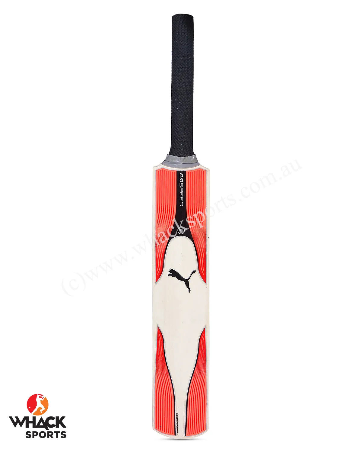 Puma Miniature Bat