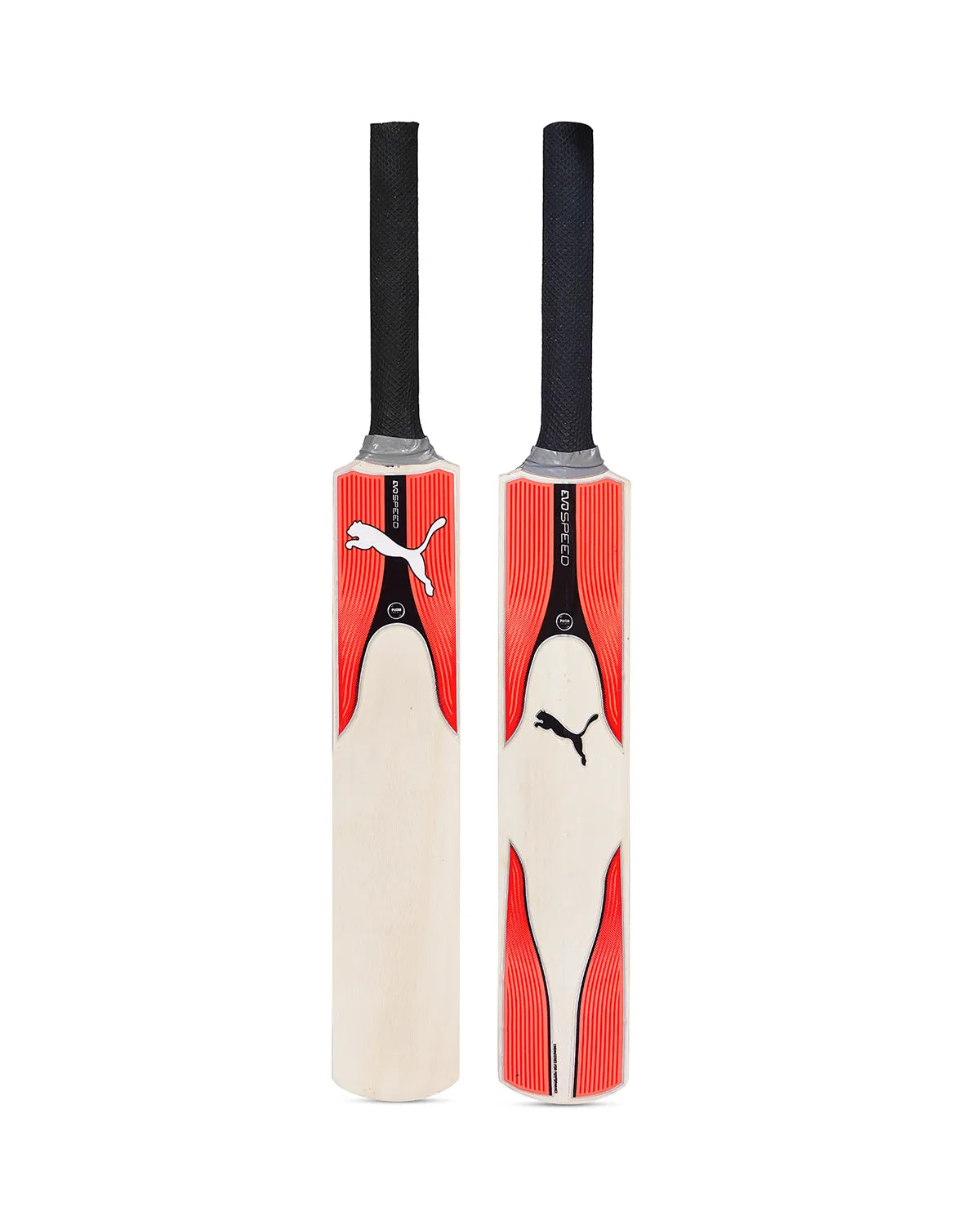 Puma Miniature Bat