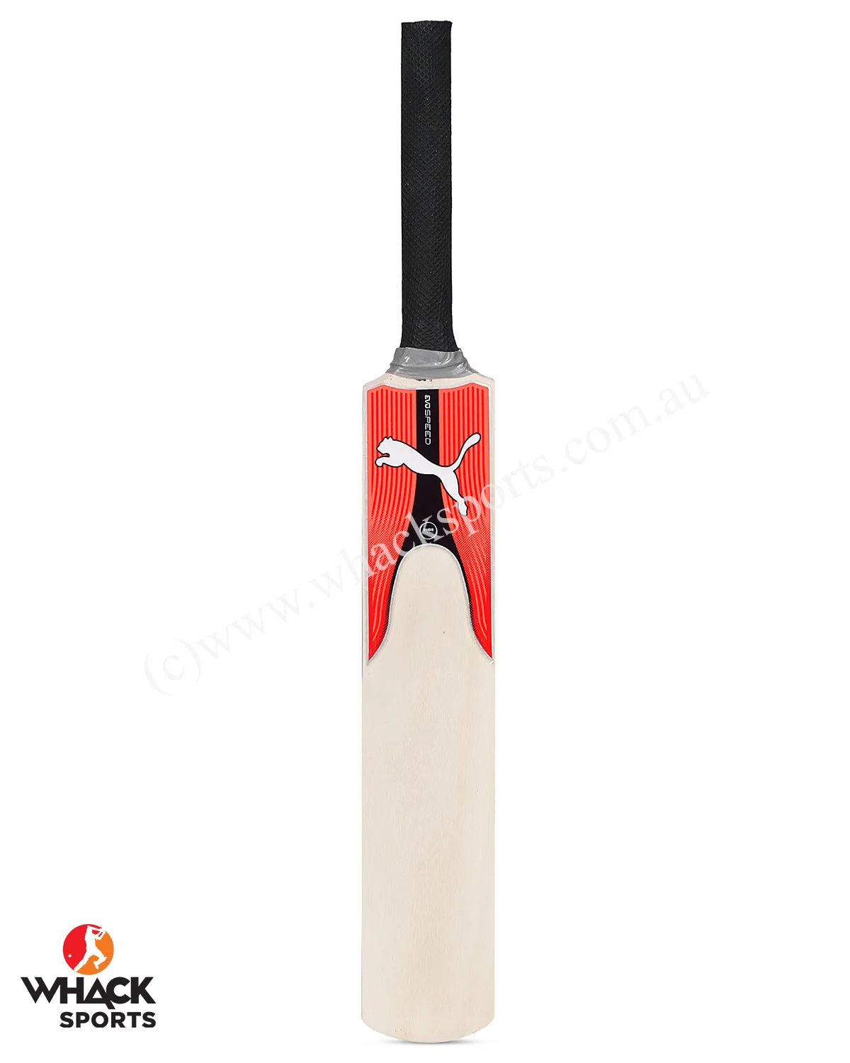 Puma Miniature Bat